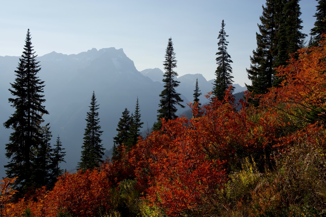 NFT und digitale Kunst